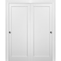 Sartodoors Closet Bypass Interior Door, 48" x 80", White QUADRO4111DBD-WS-48